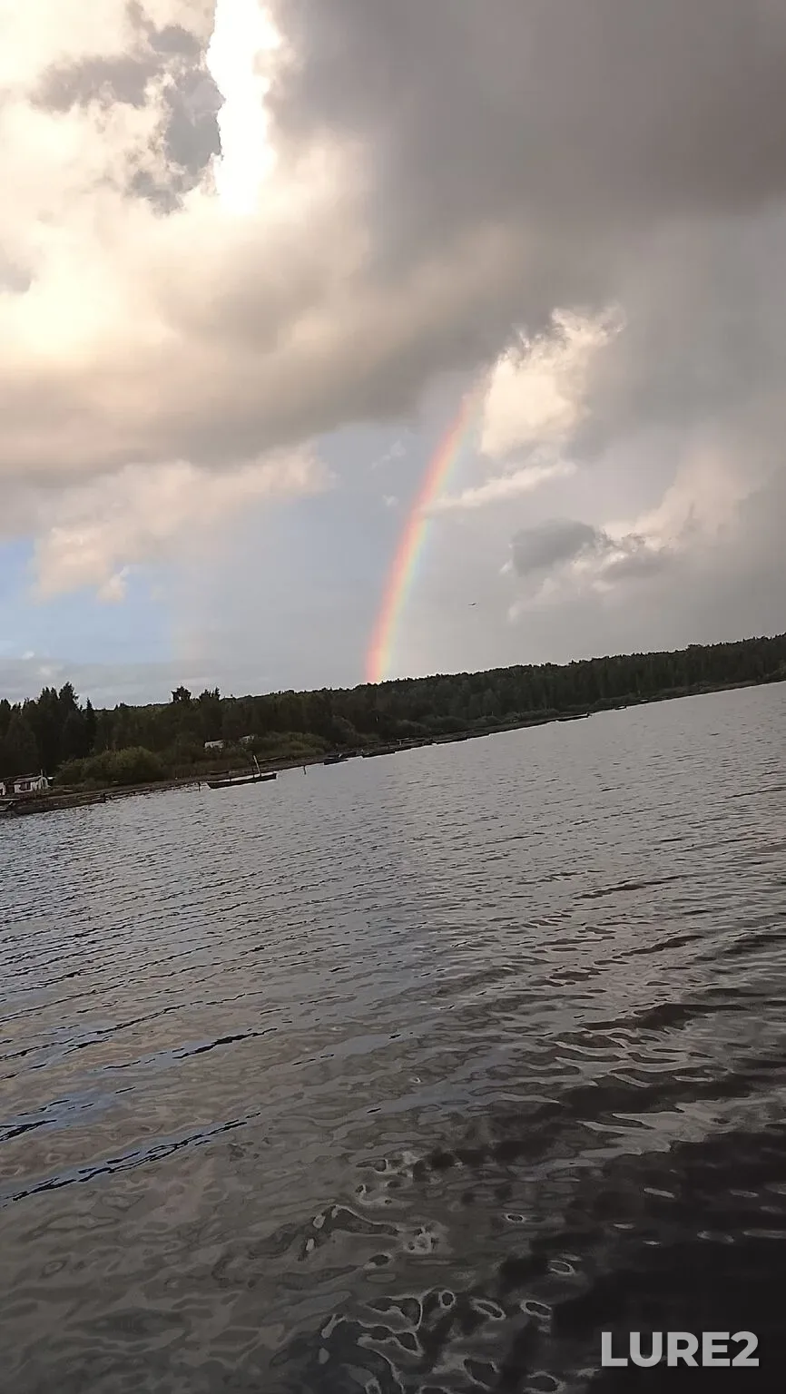 Bream, Zander — Volchikhinskoye, Aug 26, 1:40 AM