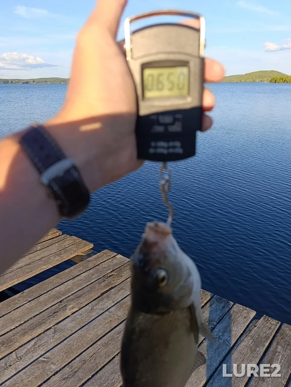 Bream — Tavatuy, Aug 28, 12:39 AM