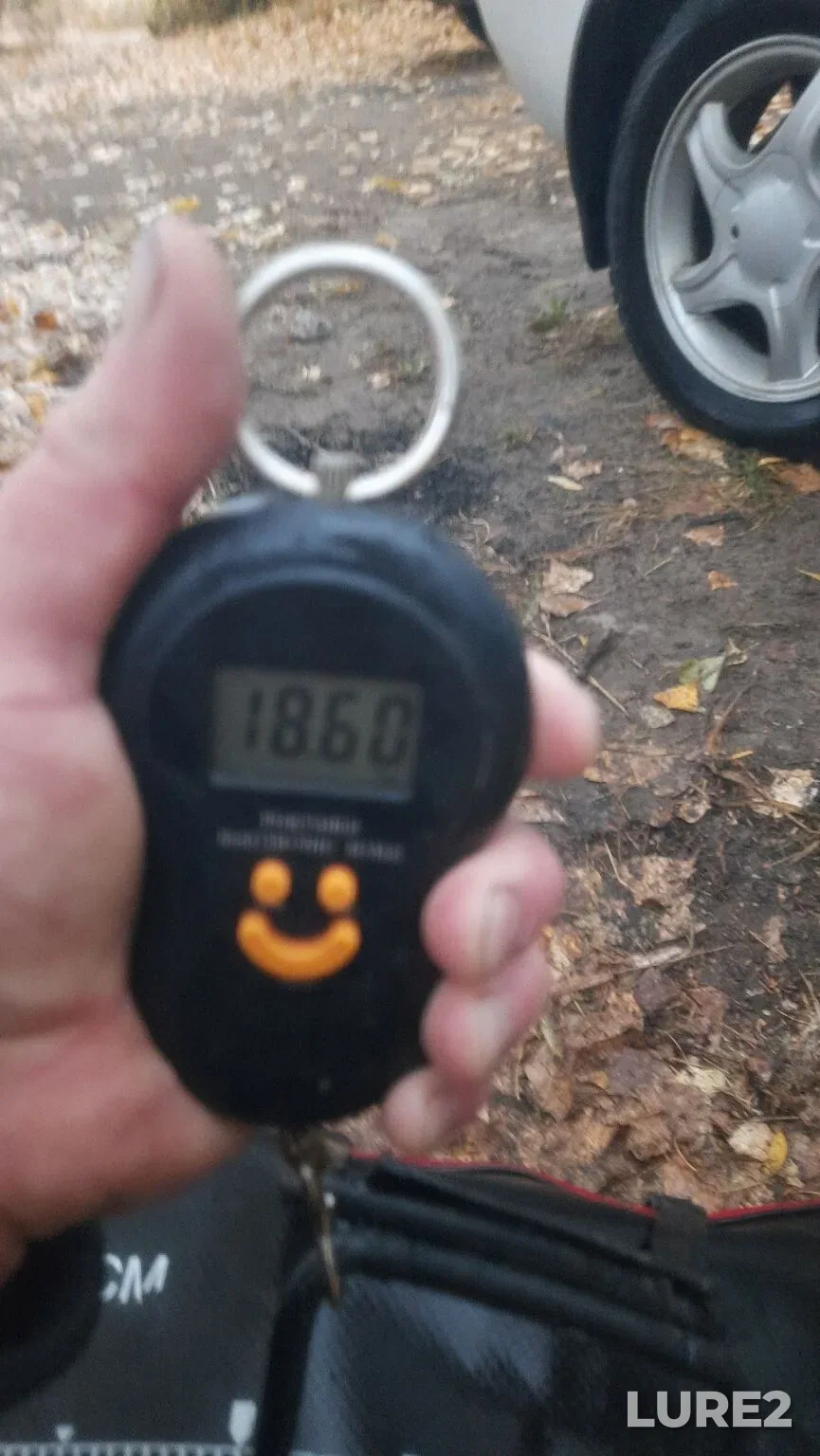 Bream — Kuybyshevskoye, Oct 13, 2025, 2:51 PM