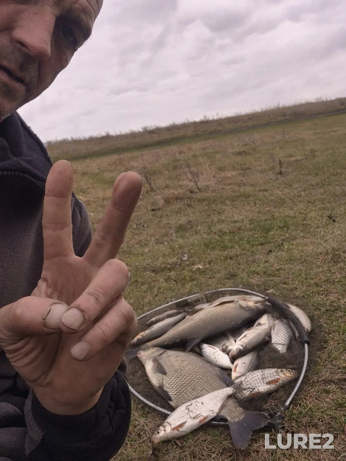 Bream, Crucian carp — Don, Nov 03, 2025, 6:19 AM