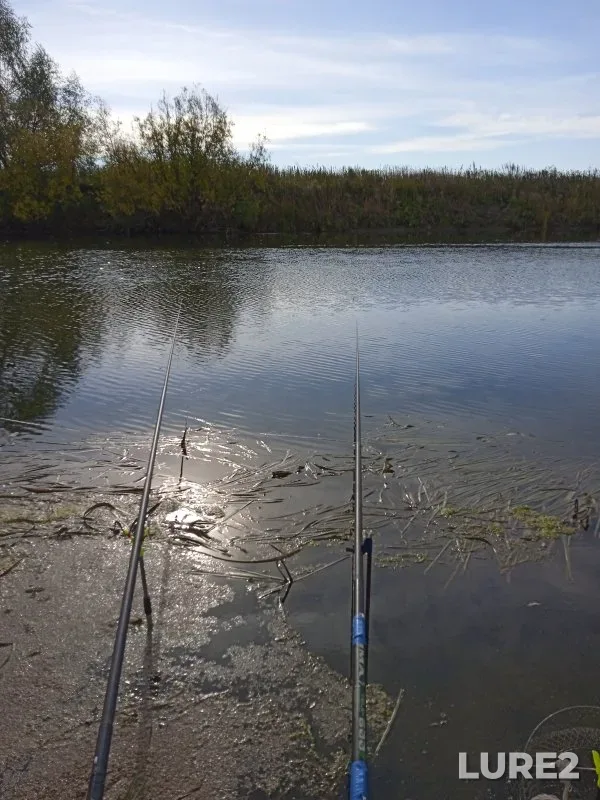Bream — Chaus, Sep 19, 2022