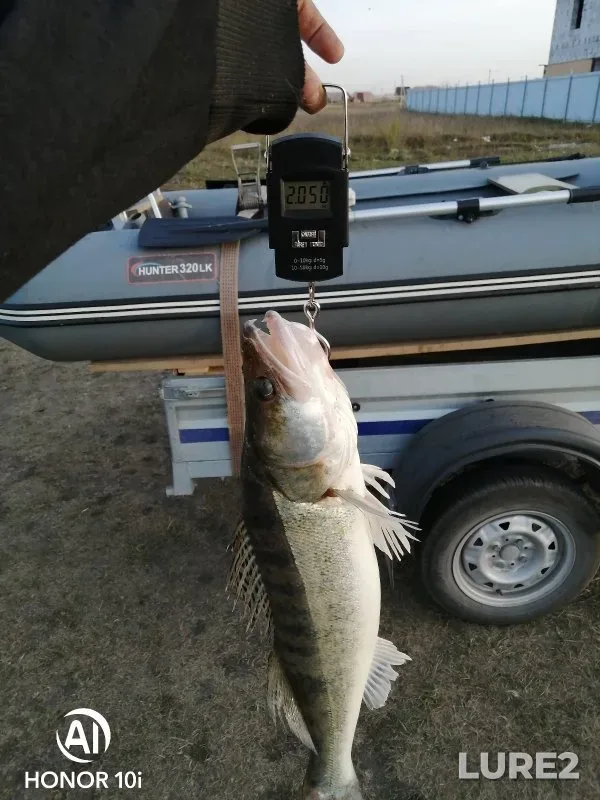 Zander — Berd, Sep 24, 2022