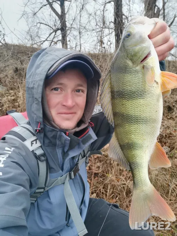 Bream, Perch — Berd, Oct 19, 2022