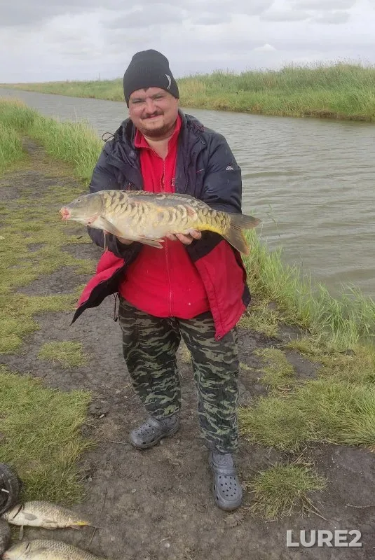 Carp, Crucian carp — Sartlan, Jun 19, 2023