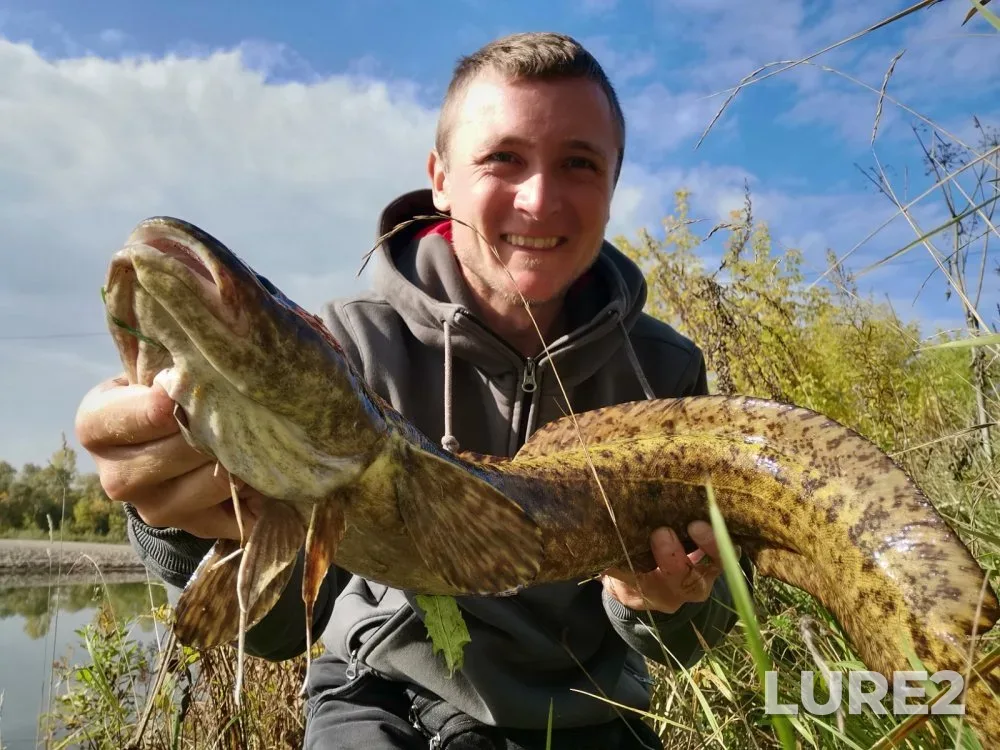 Burbot, Perch — Berd, Sep 20, 2023