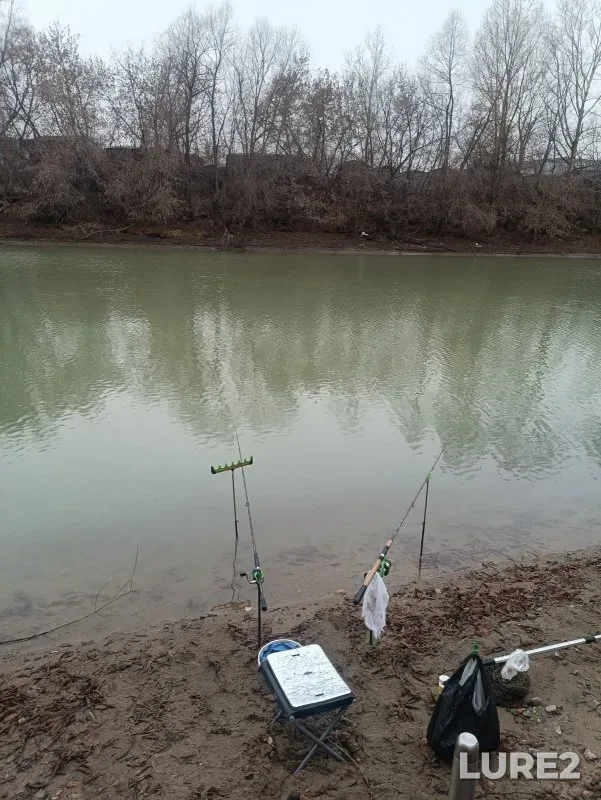 Bream, Crucian carp — Yarinskiy zaton, Nov 18, 2023