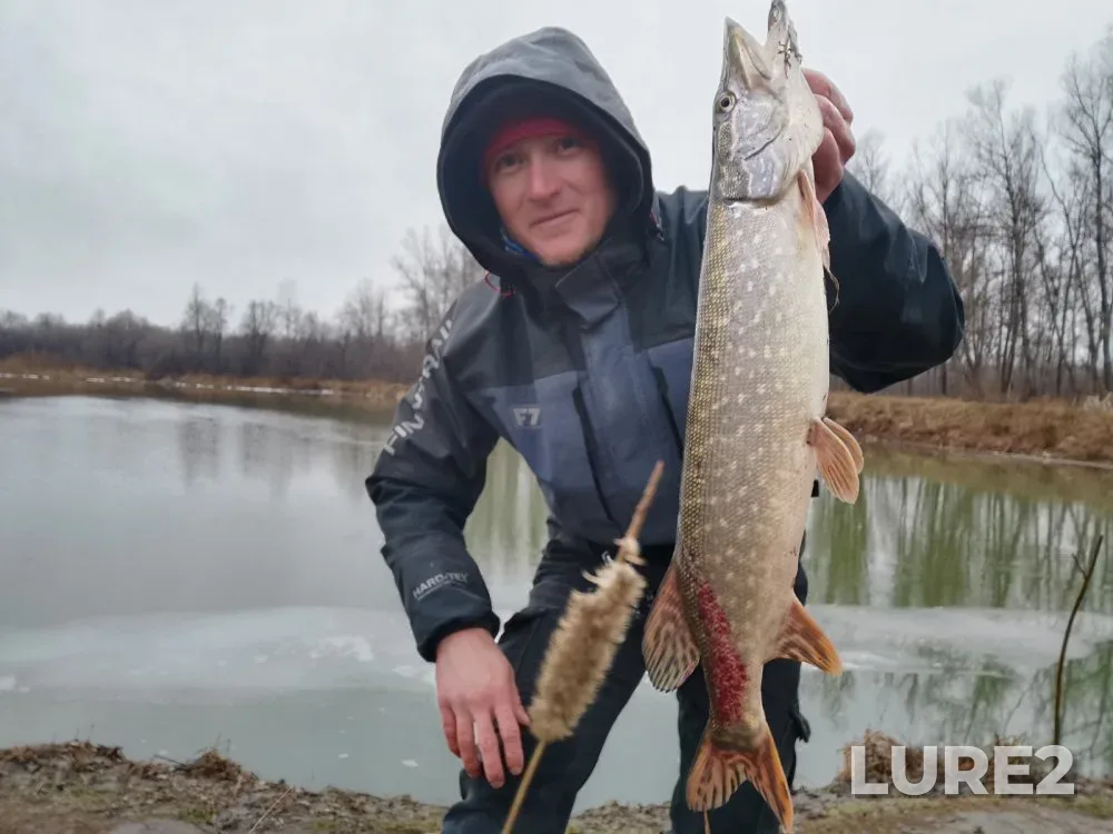 Perch, Pike — Berd, Nov 21, 2023