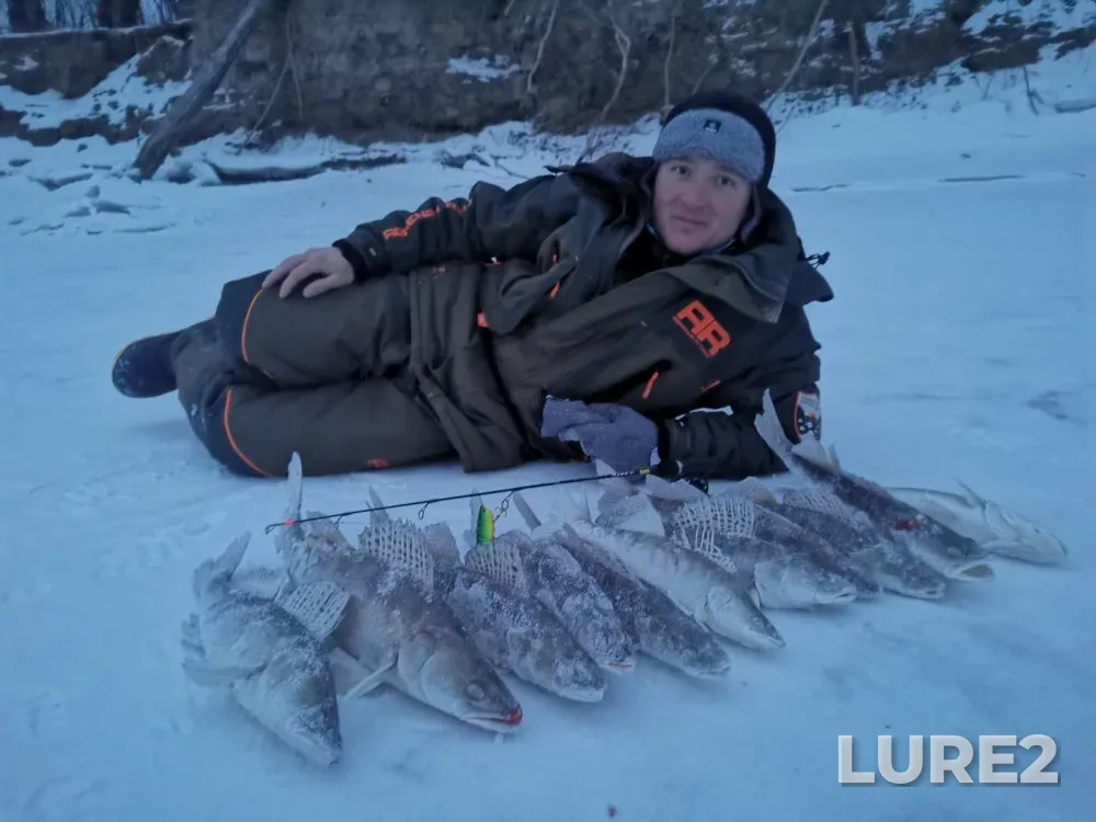 Perch, Pike — Suzun, Dec 19, 2023