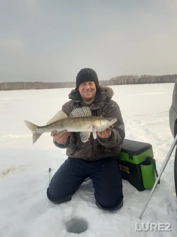 Bream, Zander — Spirino, Mar 15, 2024