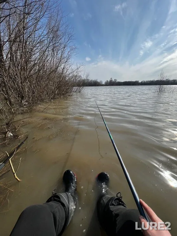Bream, Perch — Ob, May 01, 2024
