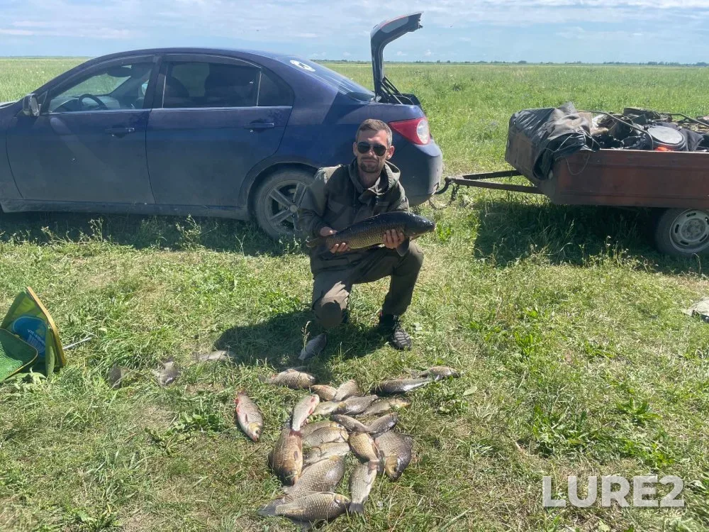 Carp, Crucian carp — Kargat, Jun 28, 2024