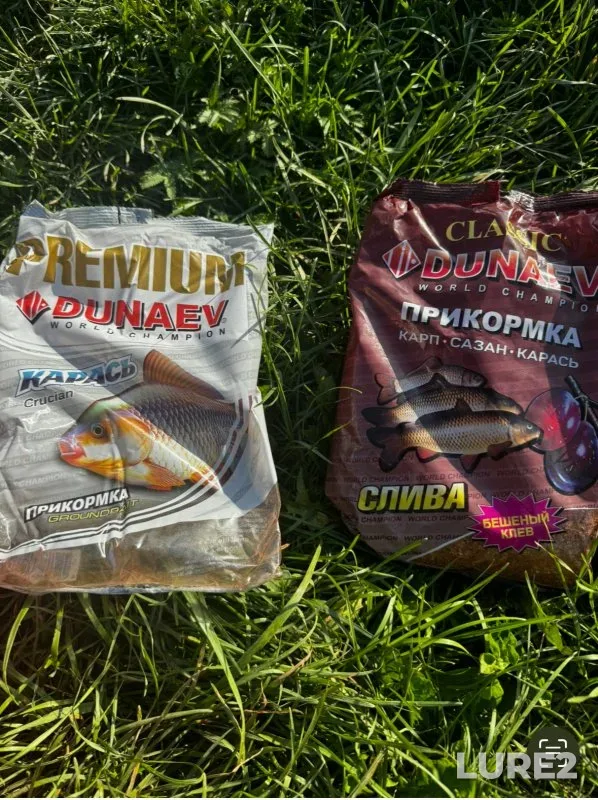 Crucian carp, Perch — Glukhoye, Aug 14, 2024