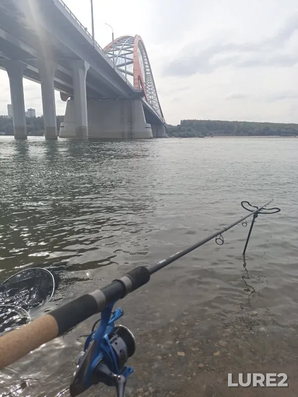 Bream — Ob, Sep 13, 2024