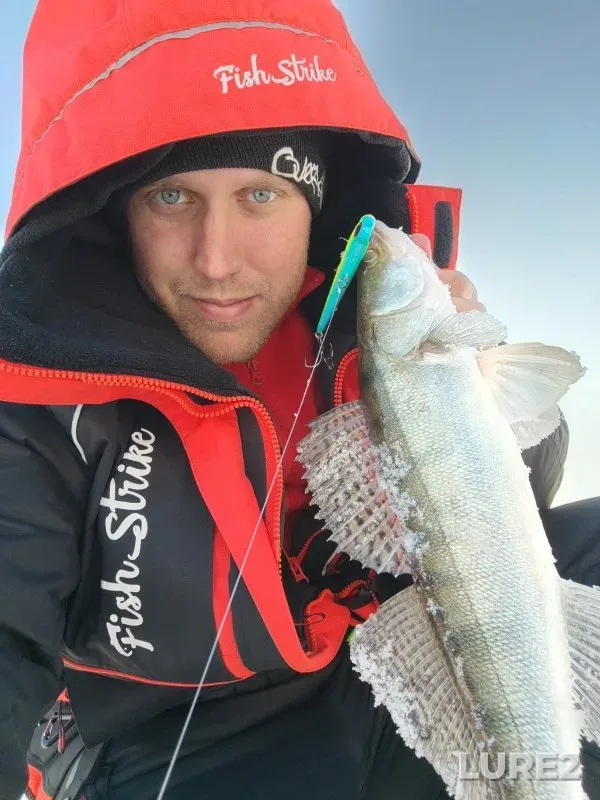 Perch, Zander — Ob, Dec 01, 2024