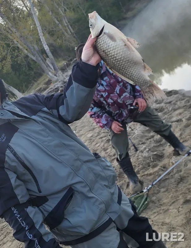 Bream, Carp — protoka Malaya Zatonskaya, May 04, 2025