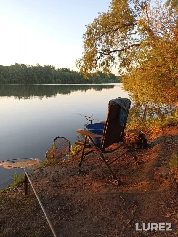 Bleak, Crucian carp — Ob, May 25, 2025