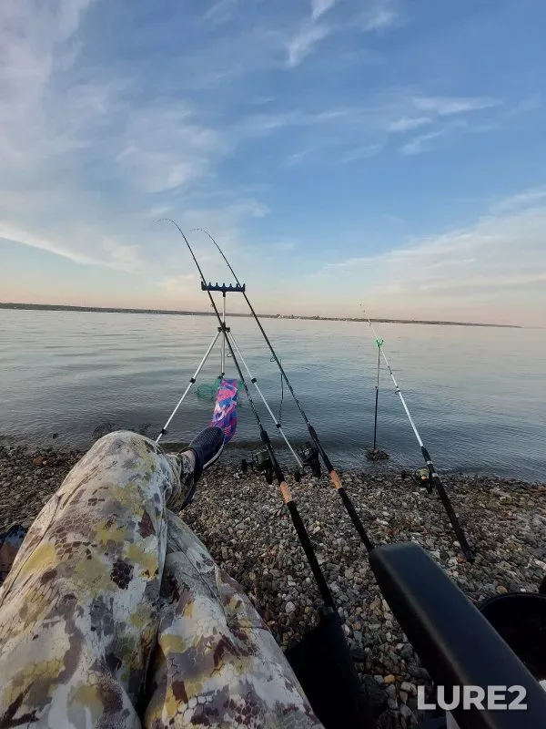 Bream, Carp — Spirino, Jul 05, 2025