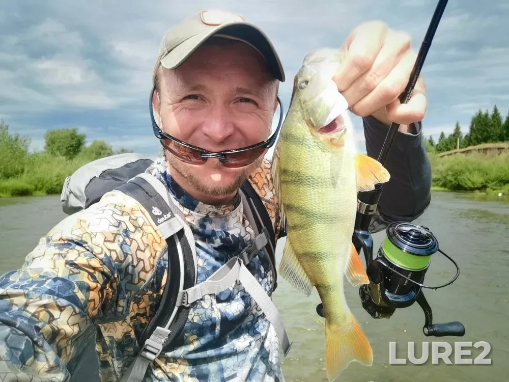 Perch — Berd, Aug 02, 2025