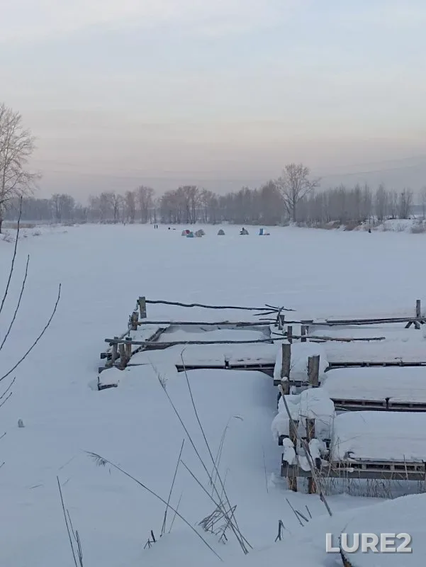 Perch, Roach — Glukhoye, Jan 02