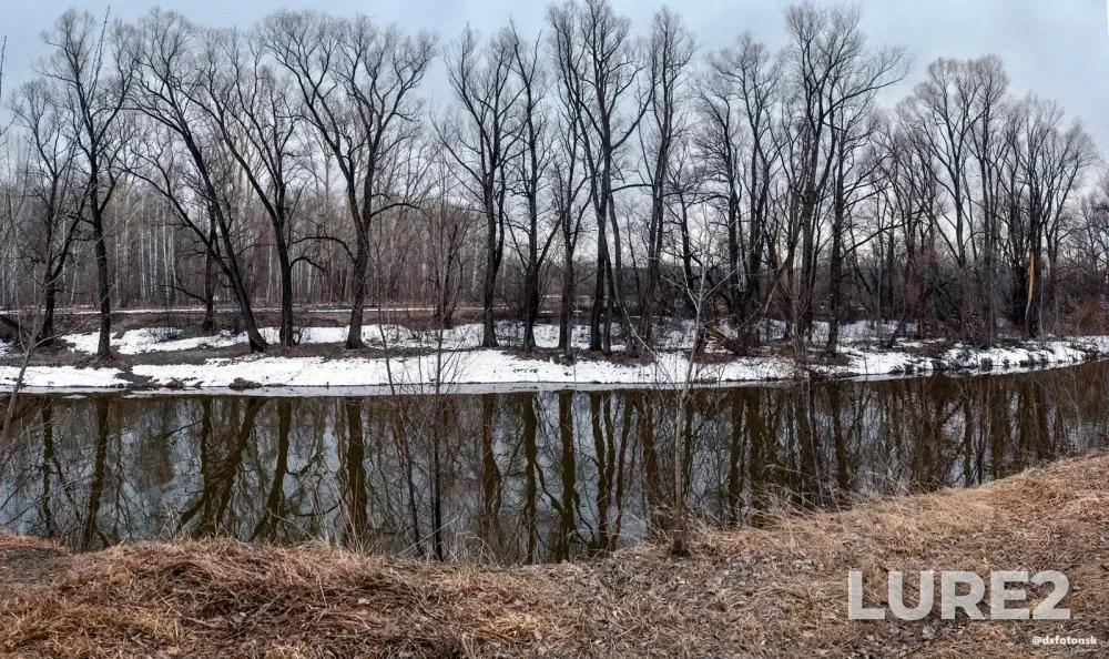 Perch, Roach — Tula, Apr 18