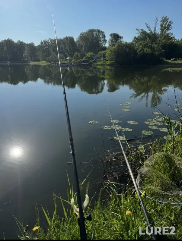 Crucian carp, Roach — Glukhoye, Jun 06