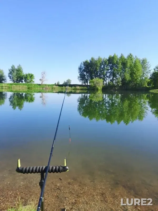 Crucian carp, Roach — Glukhoye, Jun 06