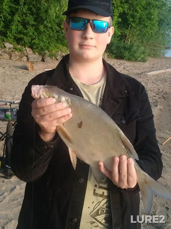 Bleak, Bream — Ob, Jun 19