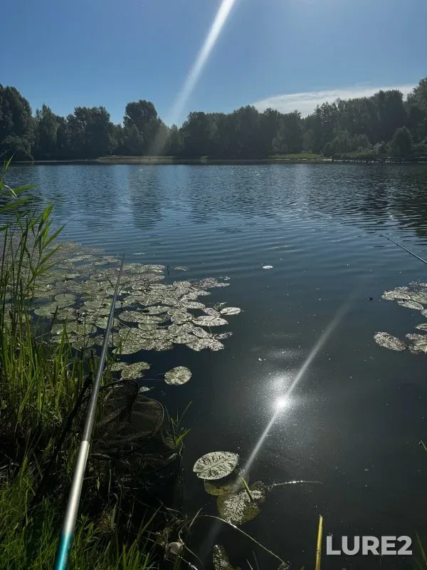 Carp — Glukhoye, Jul 02