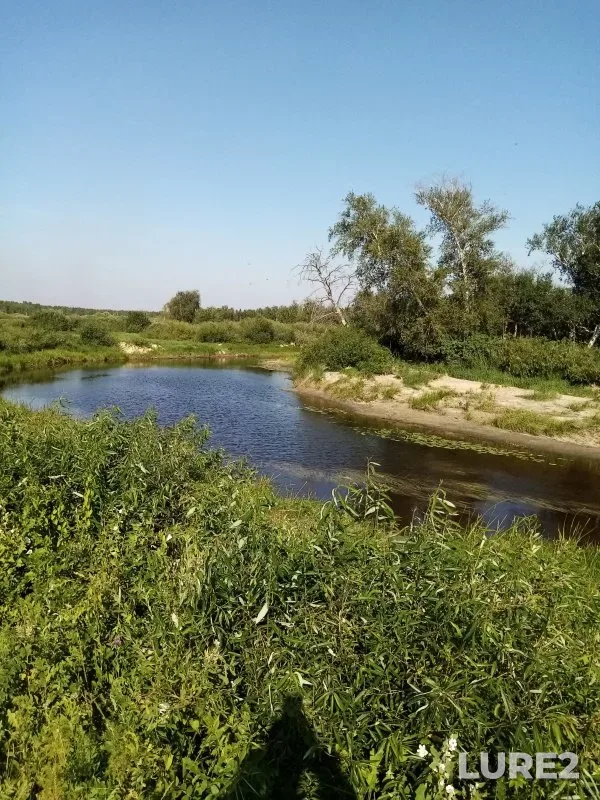 Ide, Perch — Burla, Jul 12