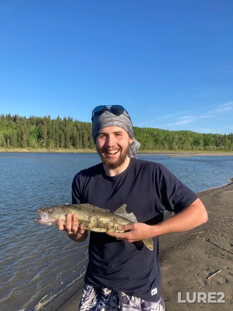 Walleye — North Saskatchewan River, Jun 04, 2022, 7:07 PM