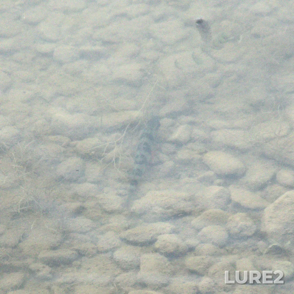 Perch — Nizhne-Artinskiy, Jul 15, 2022, 12:05 PM