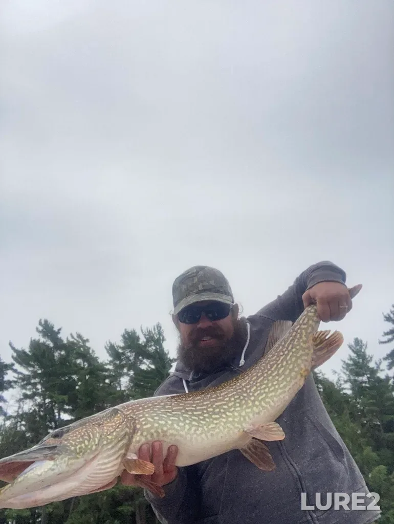 Pike — Oastler Lake, Sep 04, 2022, 9:03 AM
