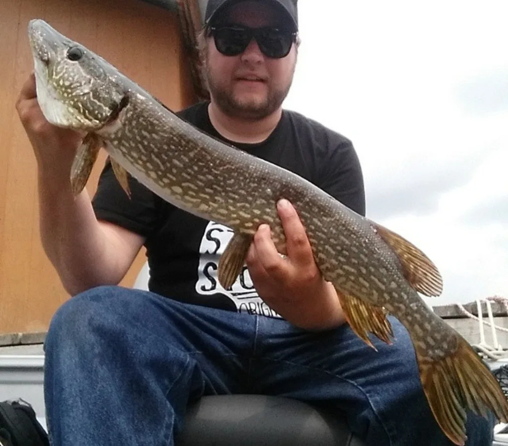 Pike — Shoal Lake, Jul 1, 2015