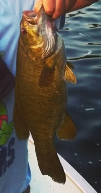 Smallmouth bass — Little Basswood Lake, Jun 13, 2013