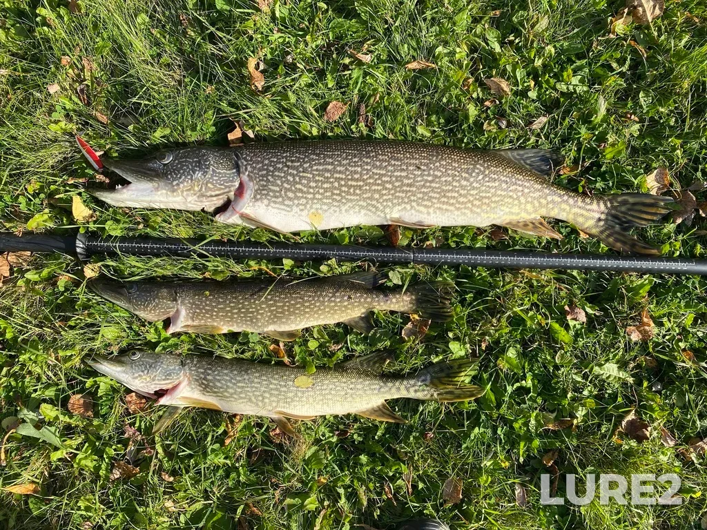Pike — Little Saskatchewan River, Oct 02, 2022, 4:16 PM