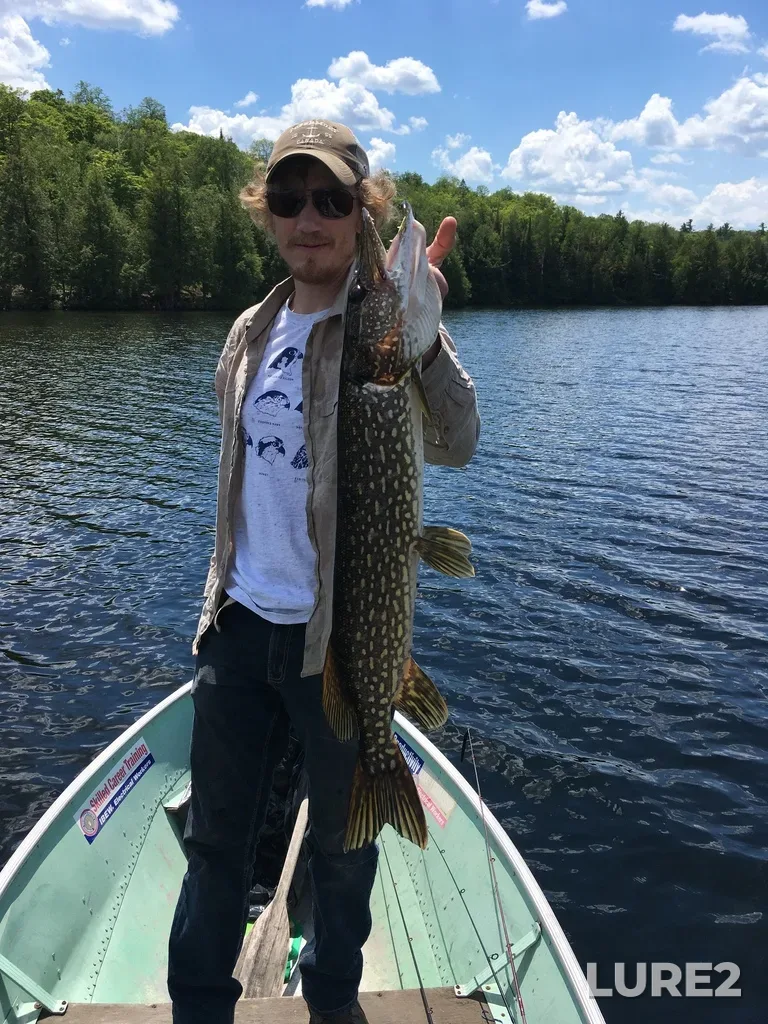 Pike — Sunday Lake, Jun 20, 2020, 2:08 PM