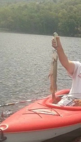 Pike — Bass Lake, Jul 20, 2013