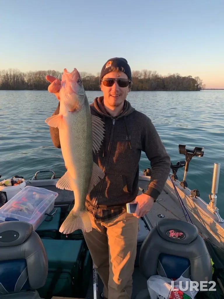 Walleye — Detroit River, Nov 13, 2020, 5:40 PM