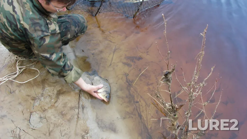 Crucian carp — Kerzhenets, May 09, 2012, 7:11 AM