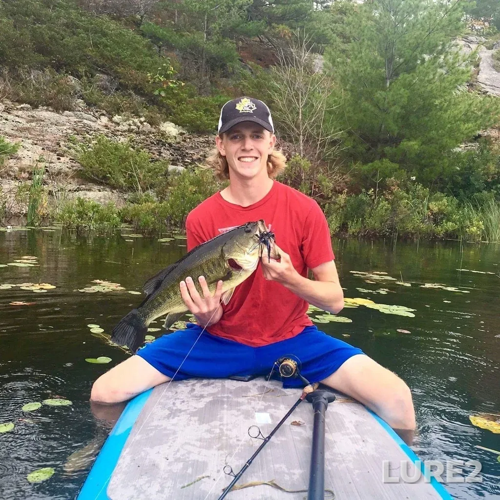 Largemouth bass — Lake Huron, Aug 10, 2018, 12:47 AM