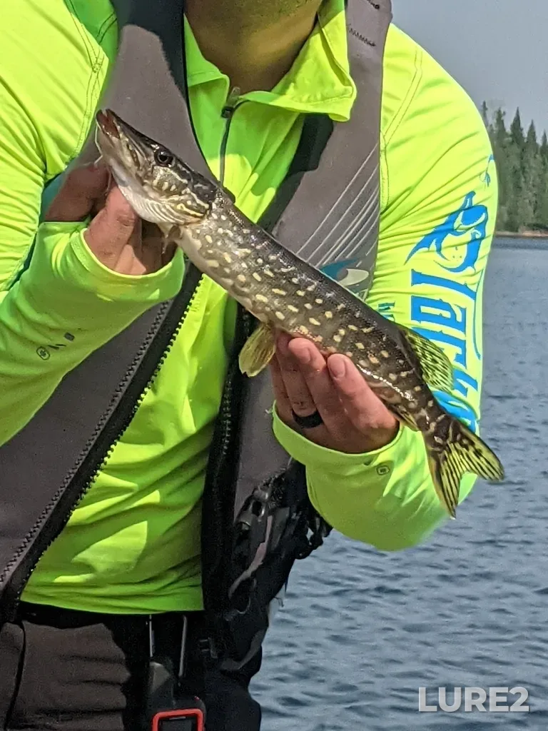Pike — Elora Lake, Jun 03, 2023, 4:46 PM
