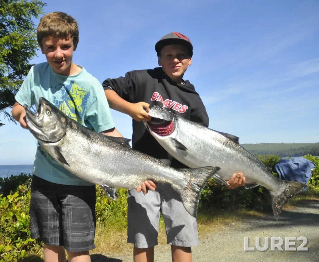 Chinook salmon — Queen Charlotte Strait, Aug 14, 2012, 12:45 PM