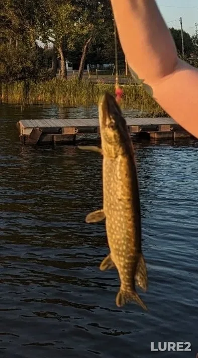 Pike — Whitewater Lake, Sep 05, 2023, 8:10 PM