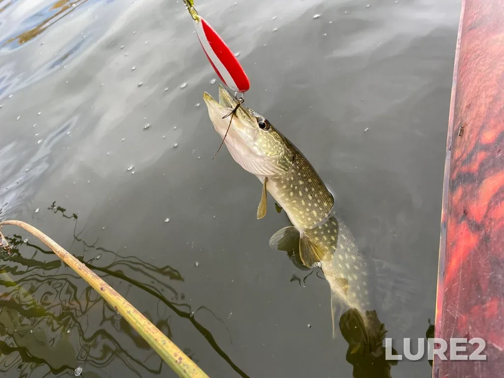 Pike — Lake Audy, Sep 30, 2023, 3:01 PM