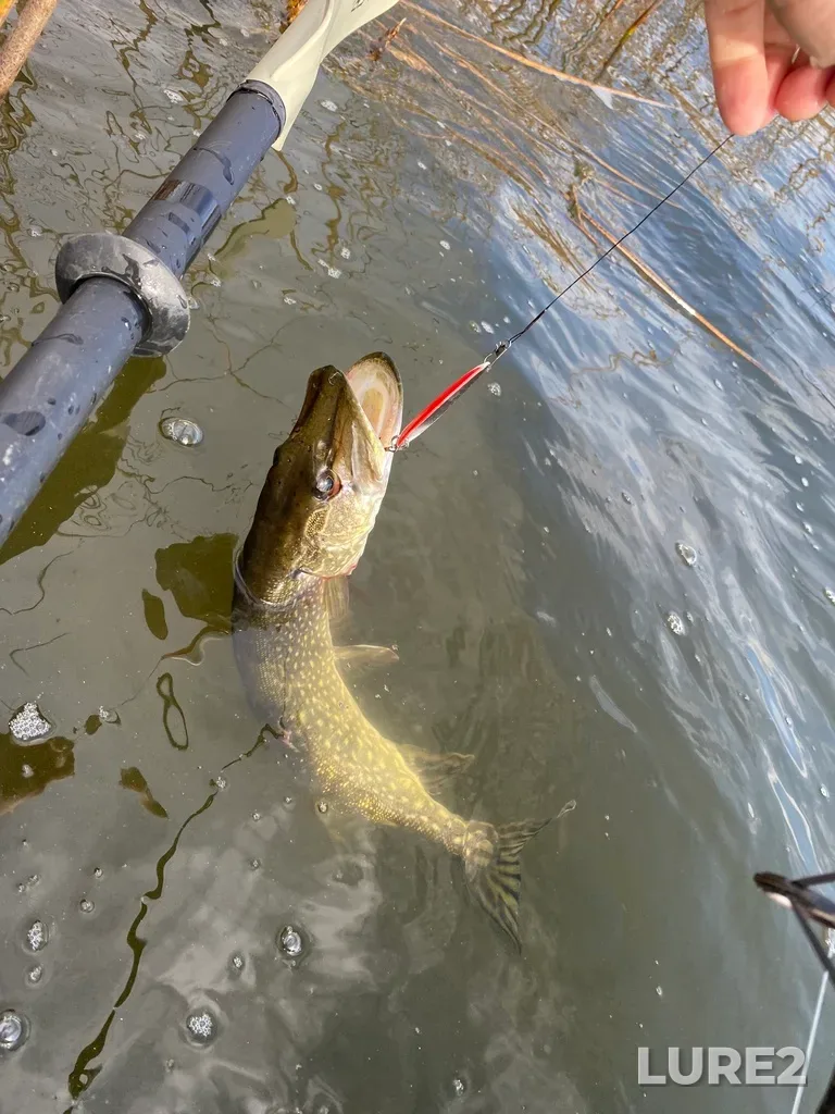 Pike — Lake Audy, Sep 30, 2023, 3:26 PM