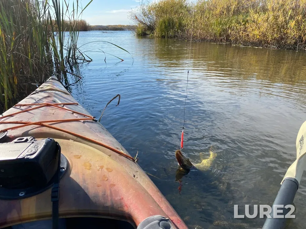 Pike — Lake Audy, Sep 30, 2023, 4:23 PM