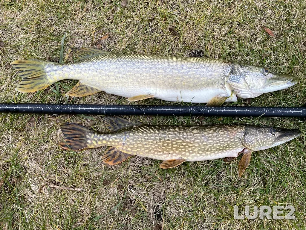 Pike — Lake Audy, Oct 14, 2023, 3:42 PM
