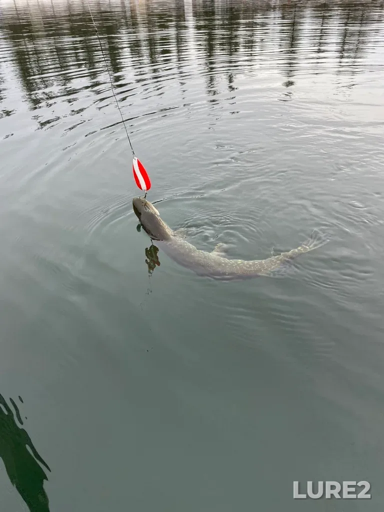Pike — Clear Lake, Nov 13, 2023, 2:30 PM