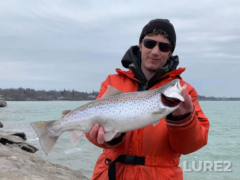 Brown trout — Ganaraska River, Mar 21, 2019, 3:31 PM