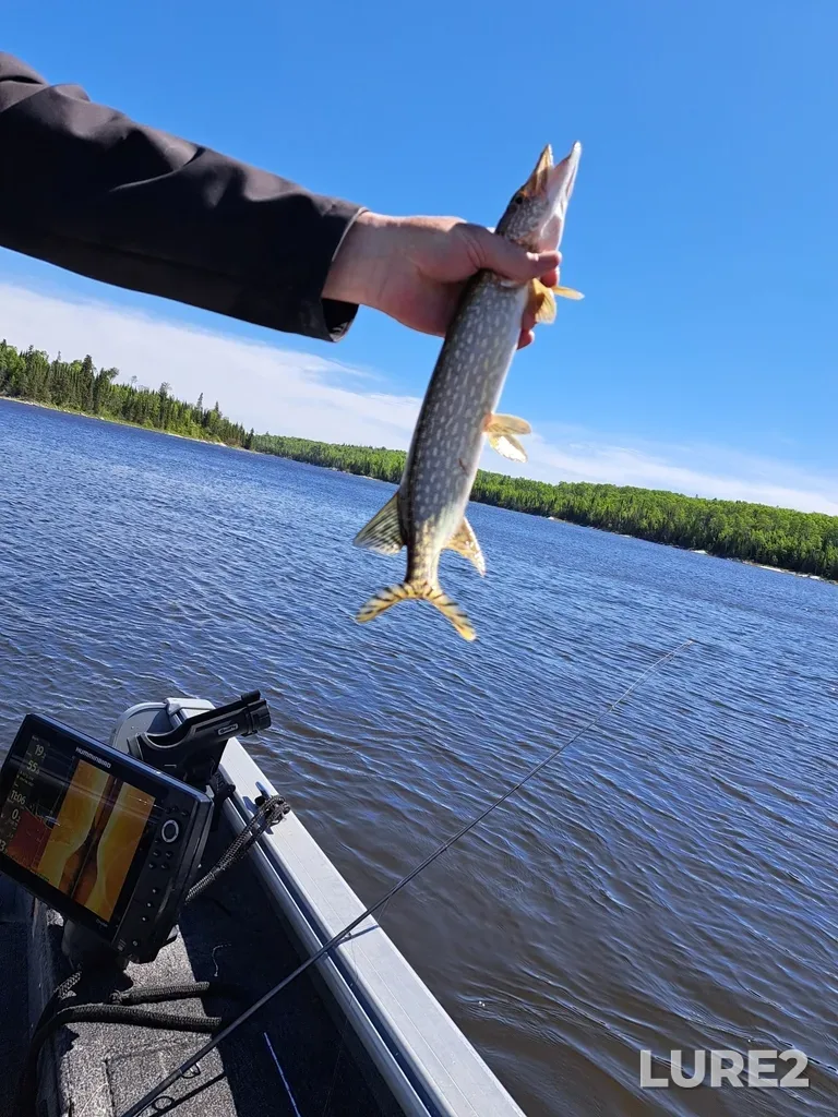 Pike — Indian Lake, Jun 02, 2024, 11:06 AM